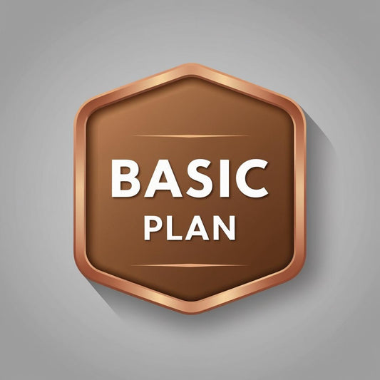 Business Tech Support Plan Lite